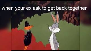 When your ex want to get back together (looney toons)  edition