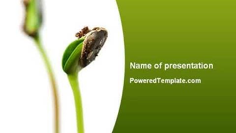 Sprouting Seed PowerPoint Template by PoweredTemplate.com