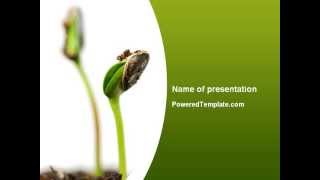 Sprouting Seed Powerpoint Template By Poweredtemplate