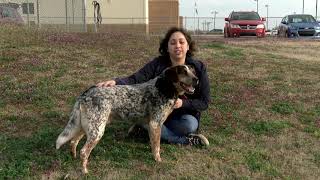 Pet of the Week - March 28, 2019