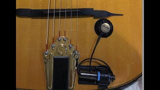 Carlos CS Sensor Test For Gypsy Guitar