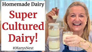 How to Make L. Reuteri Cultured Dairy  Homemade l. Reuteri Yogurt  Lactobacillus Reuteri Yogurt
