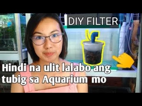 Video: Paano Makatipid ng isang Namamatay na Gintong Isda (na may mga Larawan)