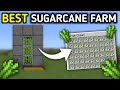 Minecraft Bedrock: EASY BEST Sugarcane Farm Tutorial in 1.21! (MCPE/X-BOX/PC/Nintendo Switch/PS5)