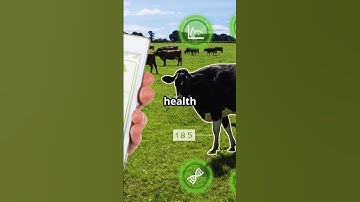 You Won’t Believe How Smart Farms Are Now!