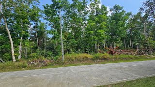 5,340 sqm for sale near Tagbilaran City Bohol Philippines 500/sqm 