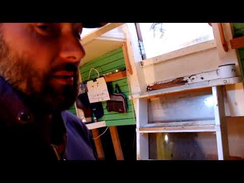 Virtual boat tour in english