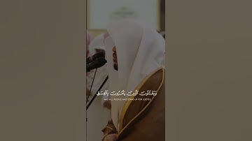 #تلاوات #القرآن_الكريم #تلاوة_خاشعة