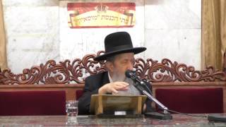 הרב בן ציון מוצפי "ועשית ככל אשר יורוך"