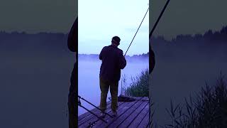 Как поймать карпа 16+? #Карпфишинг #MadCarp #Shorts