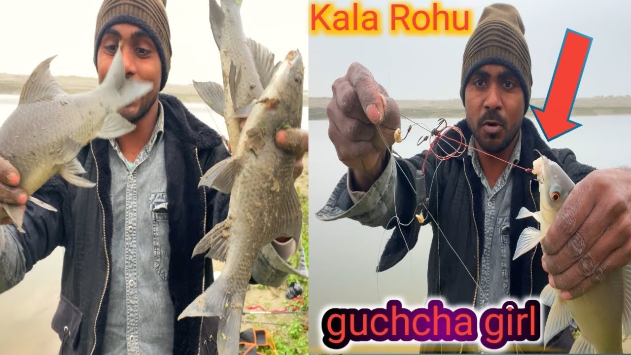 Kala Rohn Fish मछली पकड़ने का वीडियो | SINGLE HOOK FISHING KALA ROHU FISHING NADI 🎣 ️ ...