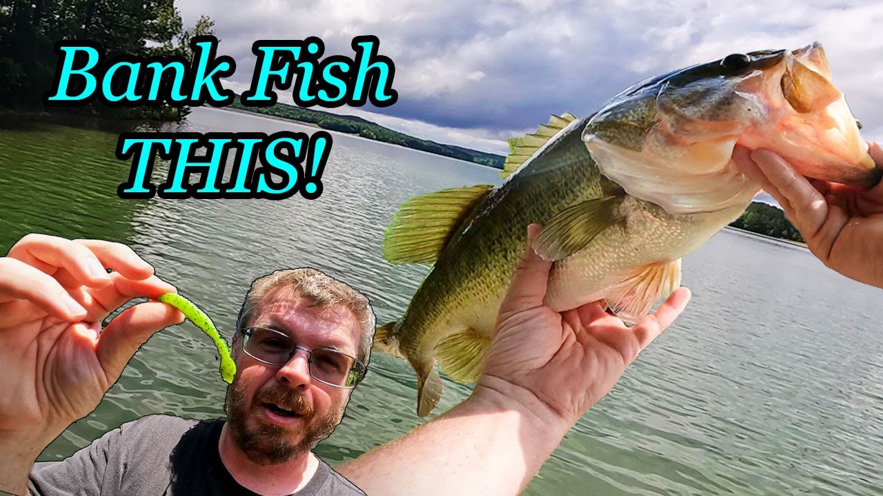 FISH go CRAZY for THIS LURE! Bank fishing for bass!