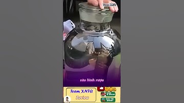 Rượu ngâm rắn hổ mang nghe có vẻ đáng sợ nhưng thực sự nó rất ngon