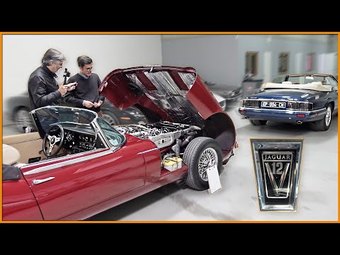 Vidéo: Combien reste-t-il de types de Jaguar D ?