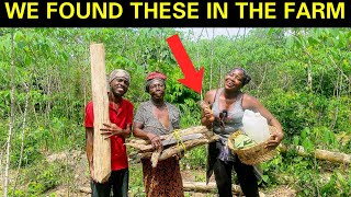 This Is What Ghanaians 🇬🇭 do In their farms! African Village Farm!