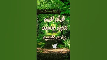 قران كريم |تلاوه خاشعه ارح سمعك وقلبك #تلاوة_خاشعة #مقاطع_دينية #قران_كريم #حالات_واتس #المصحف#لايك