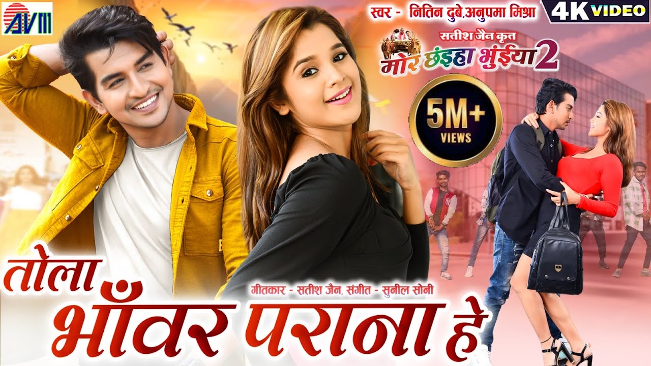 Mor Chhaiya Bhuiya 2  Cg Movie Song  Tola Bhanwar Parana He  Chhattisgarhi Gana Deepak Elsa AVM