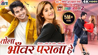 Mor Chhaiya Bhuiya 2 | Cg Movie Song | Tola Bhanwar Parana He | Chhattisgarhi Gana, Deepak Elsa, AVM