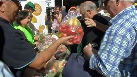 В Испании бесплатно раздали 10 тонн овощей и фруктов в знак протеста (новости)
