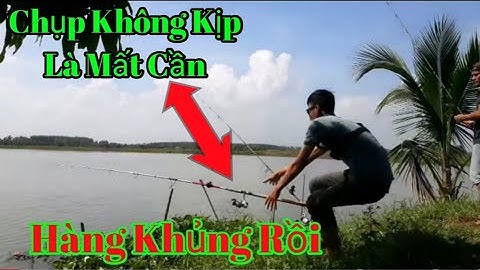 Câu Cá TV Câu trúng bầy Cá Trôi, Chép, Mè Vinh, Thật Khủng Khiếp Bằng Mồi Ngũ Cốc! Nhí CuTe