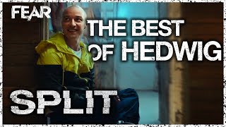 The Best Of Hedwig In Split | Fear