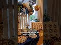 СЛАДКАЯ ПОДСТАВА #диета #рационпп #отношения #психология #спортивныедобавки #рецепты #вред