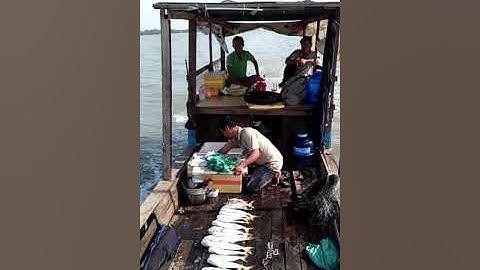 Câu cá Bông Lau Cần Giờ- câu đêm và ngày trở về.