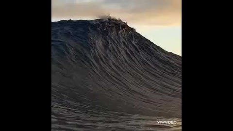 سورة الفاتحة بصوت الشيخ احمد العجمي 💭☘🌋