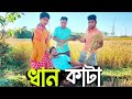       chebla sushanta20  dhan kata funny