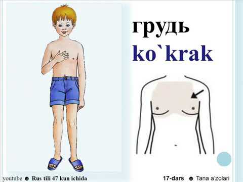 Yalangoch qizlar ov qilmoqda Oksana Ryska yalangoch surat