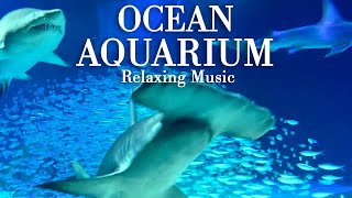 Beautiful Aquarium Background 2hr Relax With Music