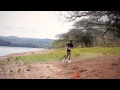 1000 Hills Crazy Store Trail Run 2015