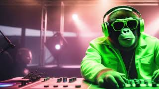 Electrify Your World: EDM Anthems to Ignite the Dance Floor 🔥🎵