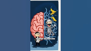 Procrastination Explained: The Battle in Your Brain