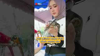 Geli Geliman Tengok Fatin Afeefa Pegang Ular