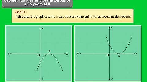 Geometrical Meaning of the Zeroes of a Polynomial Part II
