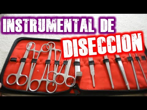 Video: ¿Por qué se utiliza la disección?