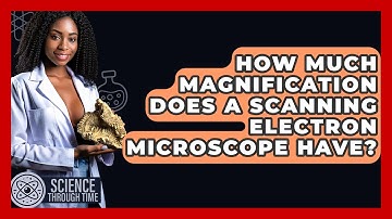 How Much Magnification Does A Scanning Electron Microscope Have? - Science Through Time