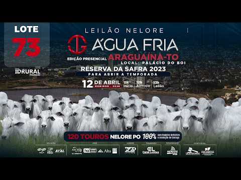 LOTE 73