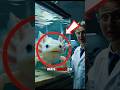 Tu Vois Ces 3 Animaux Tous Les Jours… Mais Tu Ne Les Connais Pas#shortvideo