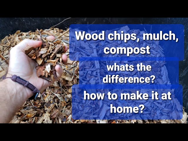 Wood Chips vs. Mulch: What's the Difference?