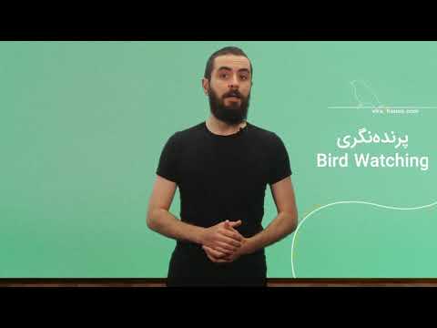 تماشای پرنده ها یا پرنده نگری خانه گردشگری ویرا
