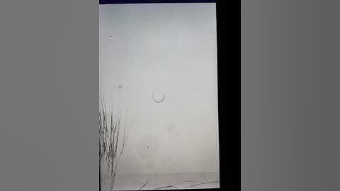 FREE LOAD Freenet App | New Free Load App 2018 | New Free BTC App 2018 | New Free BTC Telegram Bot