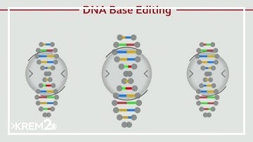 UK doctors develop groundbreaking new gene therapy to treat blood cancers