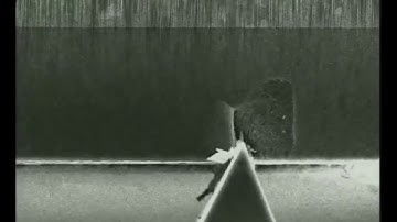 In-situ Observation of Cross-Sectional Microstructural Changes and Stress Distributions