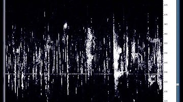 Radio Detected Video of the Perseids Meteor Shower - 2014