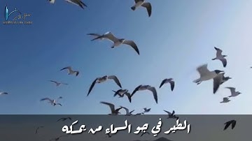 ذلكم الله للقارئ محمد عبده 2019