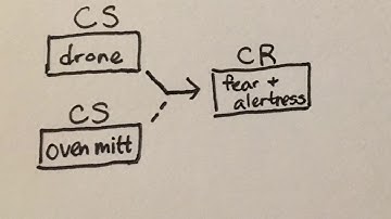 Classical Conditioning Video Project