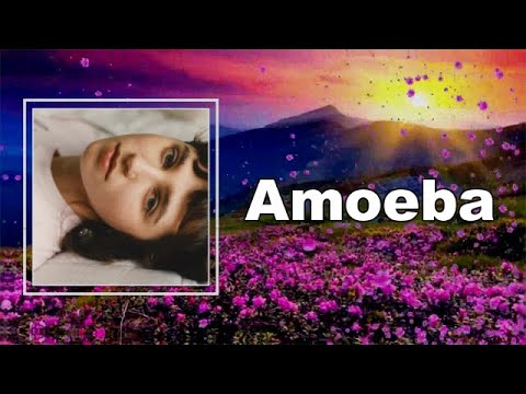 Clairo - Amoeba (Lyrics)