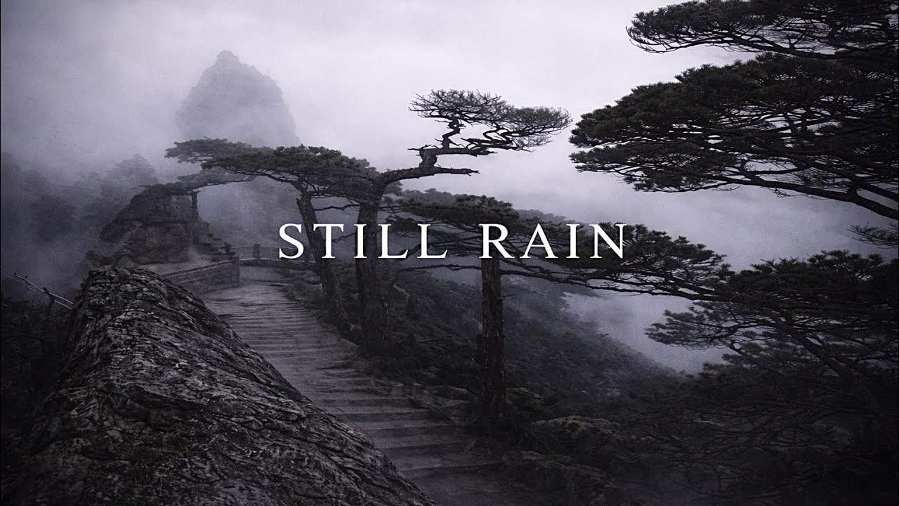 STILL RAIN — 6 Hours of Calm Rain Sounds for Deep Sleep & Relaxation